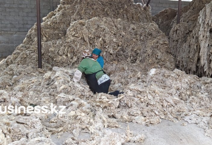 В Казахстане простаивают практически все заводы по переработке овечьей шерсти