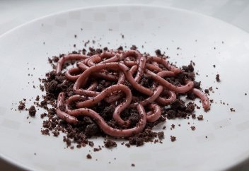 ЖАУЫН ҚҰРТТАРЫ КЕЛЕШЕКТЕ ҚАТЕРЛІ ІСІКТІ ЕМДЕУГЕ ПАЙДАЛАНЫЛУЫ МҮМКІН