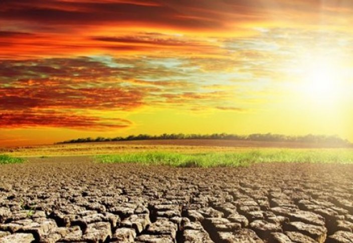 Ғалымдардың жантүршігерлік дерегі: адамзат алдағы уақытта...