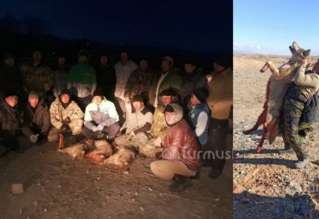 Огромного волка застрелили на востоке Кыргызстана (фото)