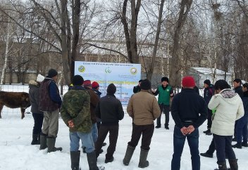 Арынды Ақсуда зекет таратылды (фото)