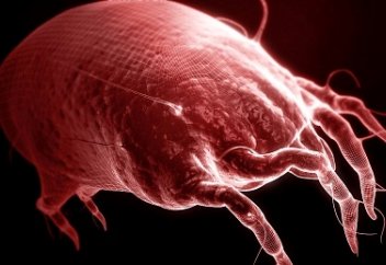 Қазақстанда аллергия кең таралған