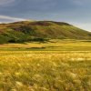 Жер учаскесін жалға алу мерзімін ұзарту ережесі өзгертілді