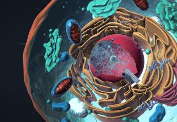 Жасушадағы электрді өлшеуге мүмкіндік беретін тың тәсіл табылды