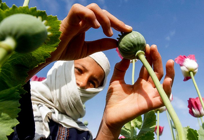 Недетский мир