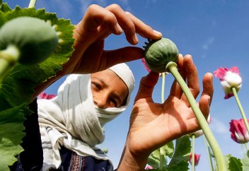 Недетский мир