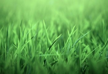 Аллах никогда больше НЕ БУДЕТ ГНЕВАТЬСЯ на вас, Инша Аллах | Ислам CHANNEL | Ислам Хаджи