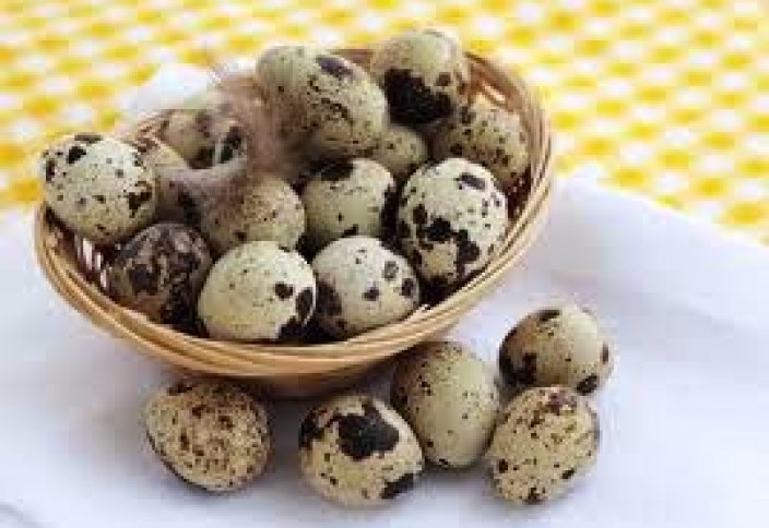 Елімізде бөдене жұмыртқасынан майонез жасалатын болады