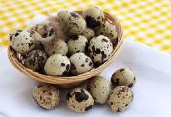 Елімізде бөдене жұмыртқасынан майонез жасалатын болады