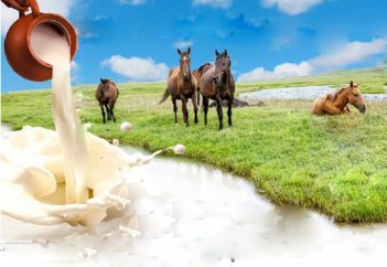 Қымыз қырық ауруға ем