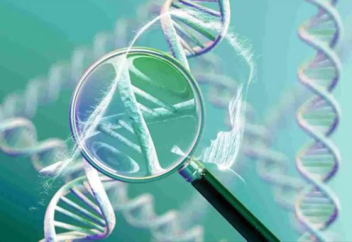 У узбекистанцев выявлены неизвестные ранее миру генетические изменения