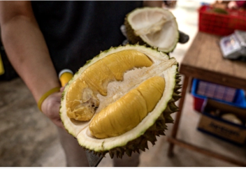 Мұсылман елі жастарды үйлендіру үшін экзотикалық жеміс ұсынады