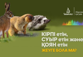 Кірпі, суыр және қоян еттерін жеуге бола ма?