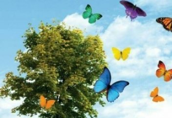 Алматы жанынан ауылшаруашылыққа арзан жерлер