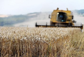 Министрліктің мәліметі диқандардың таңданысын туғызды