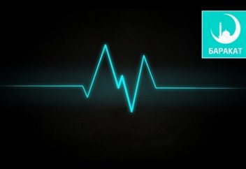Твоё СЕРДЦЕ и виды нафса | БАРАКАТ - мусульманский канал