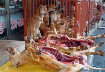 Власти официально запретили употребление популярного вида мяса