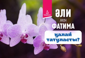 Әли мен Фатима қалай татуласты?