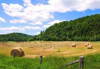 Единый гербарный фонд: чем богата флора Казахстана