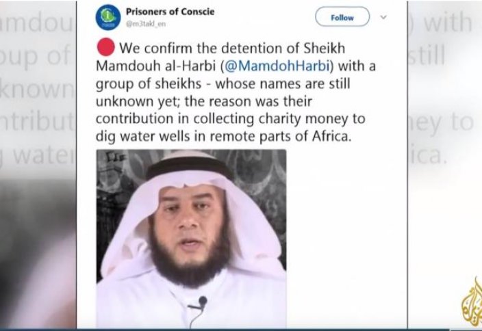 Саудовских шейхов арестовали за колодцы в Африке