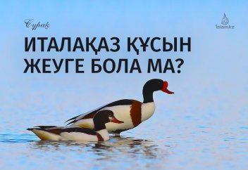 Италақаз құсын жеуге бола ма?