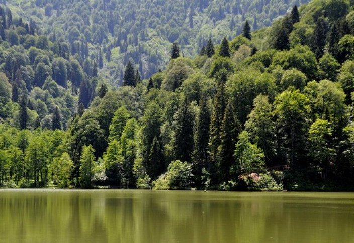 Парламент Турции одобрил закон, позволяющий строить туристические объекты в национальных парках