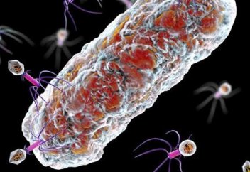 Бактерияның ең төзімді түрлеріне қарсы гибридті антибиотик жасалды