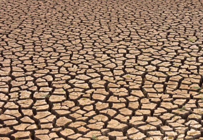 Жизненные артерии