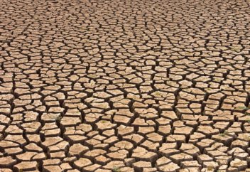 Жизненные артерии