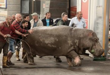 Грузияда су тасқынына байланысты 15 маусым "қаралы күн" болып жарияланды (Фото)