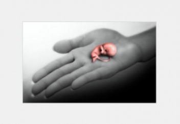 Как похоронить выкидыш?