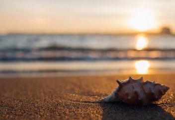 Разные: 70 миллионов лет назад сутки были короче на полчаса - ученые