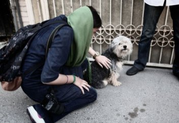 Батыс елдерінің қаңсығын таңсық көрушілермен күрес басталды