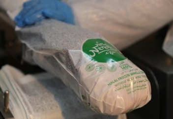 Как делают халяльную курицу: репортаж с производства