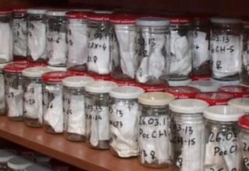 Алматы полициясы қылмыс орнындағы иіс іздері қалай сарапталатынын айтты