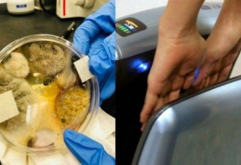 Америкалық әйел қол кептіретін құрылғының ішіндегі адам шошырлық заттарды көрсетті (фото)