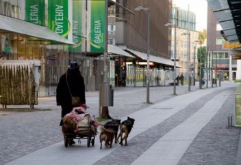 Дамыған, бай мемлекетте үйсіз-күйсіз қаңғыбастар қарасы 1 миллионнан асып кеткен