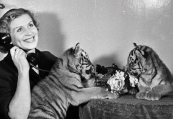 Зомбилендіру тәжрибесі