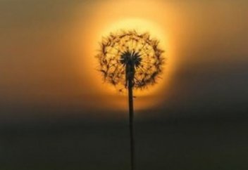 Саморазвития не существует