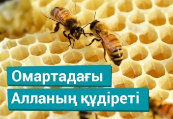 Омартадағы Алланың құдіреті