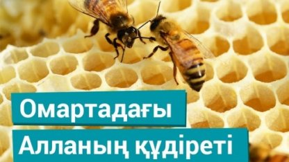 Омартадағы Алланың құдіреті