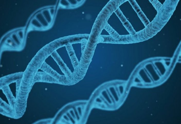 В США одобрили новый метод лечения рака при помощи генной инженерии