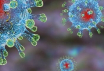 О коронавирусе в Италии.