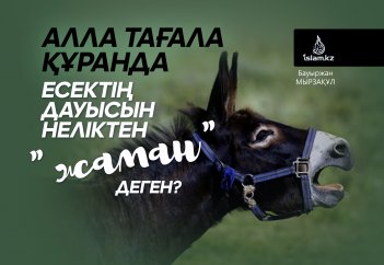 Алла тағала Құранда есектің дауысын неліктен "жаман" деген?