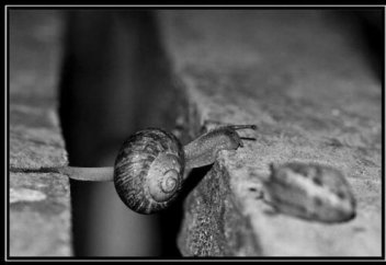 О чем я думаю?