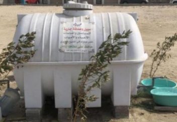 Разные: Мусульманин придумал, как спасти сотни животных и птиц