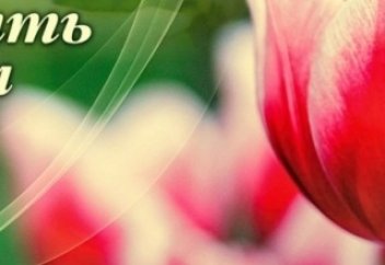 Даниэль Лодьюка: Я была вынуждена принять Ислам