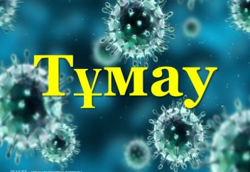 Тұмауды емдеуге мемлекет қанша қаражат жұмсайды?