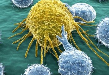 Ғалымдар обырдың одан ары таралуын тоқтататын әдісті тапты