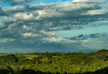 Африка құлығында биологиялық әр алуандылығы бірегей аймақ табылды